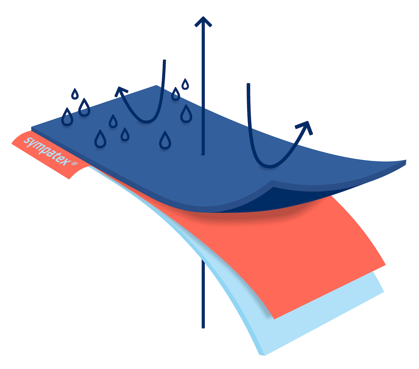Dessin explicatif de la membrane sympatex