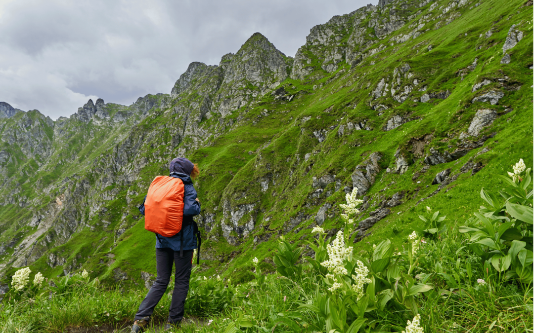 Quelles sont les alternatives à la membrane Gore-Tex ?